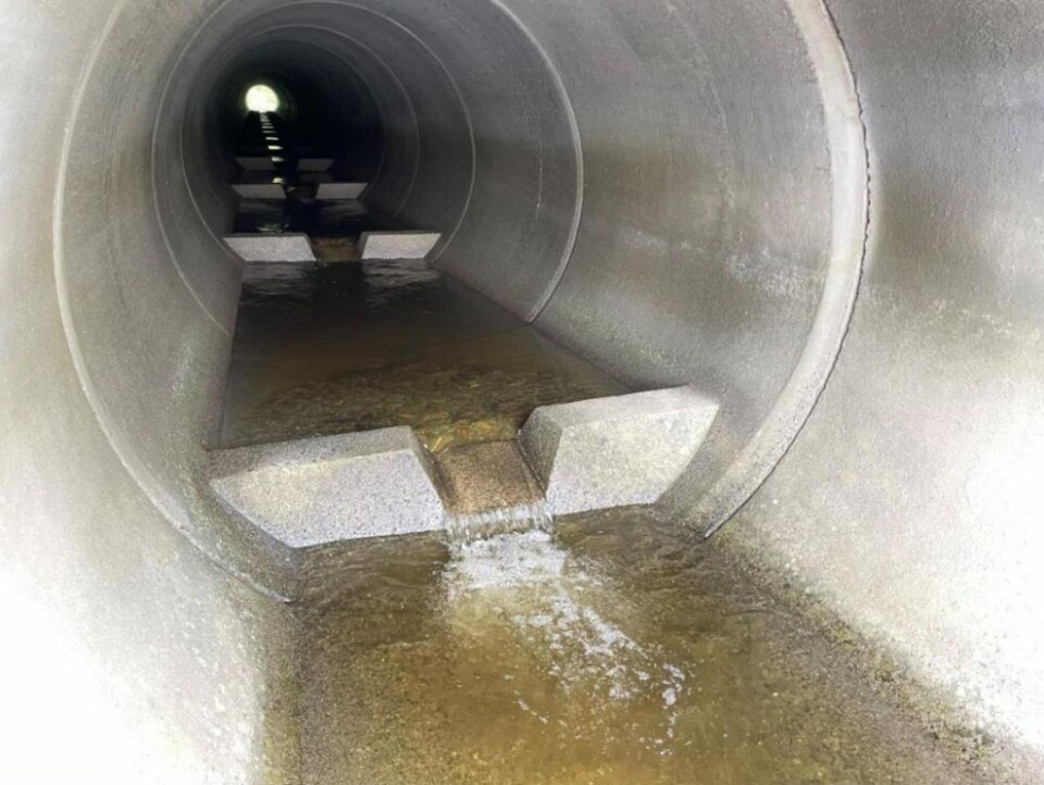 Skal Sikre Fisken Trygg Ferdsel VAnytt no skal-sikre-fisken-trygg-ferdsel-vanytt-no